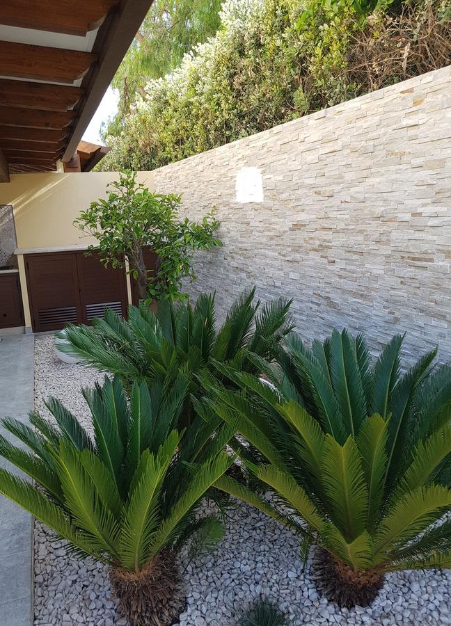 B&B Aloe Comfort Rooms San Vito Lo Capo Kültér fotó