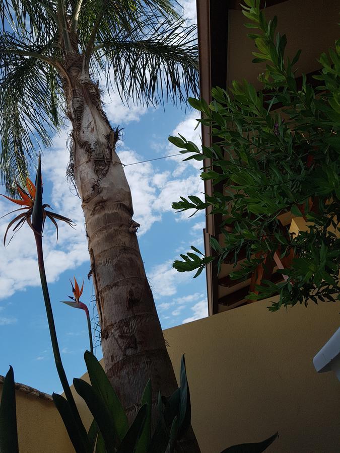 B&B Aloe Comfort Rooms San Vito Lo Capo Kültér fotó