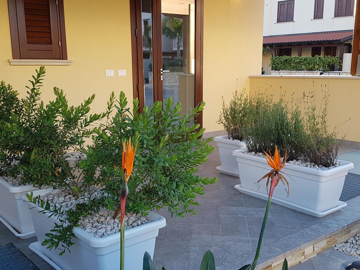 B&B Aloe Comfort Rooms San Vito Lo Capo Kültér fotó